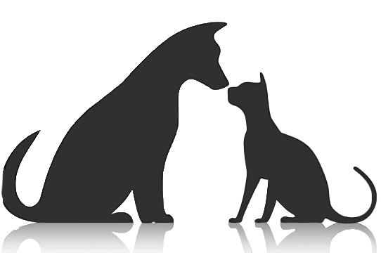 ロゴのイラスト